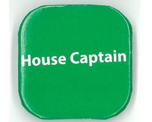 **SALE**Button Badges, Pack of 20, House Captain - Green