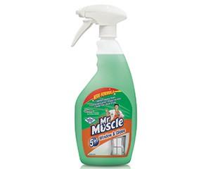 Mr Muscle Window and Glass Cleaner, 750ml