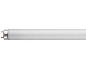 Fluorescent Tube White, 1500x25mm, 58W, Singles