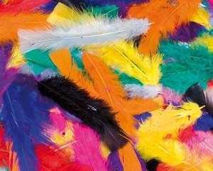 Feathers, Assorted Colours, 25g bag
