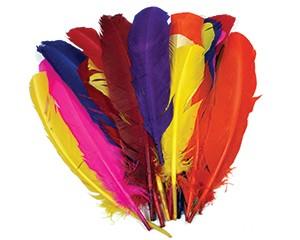 Feathers, Quills, Pack of 25