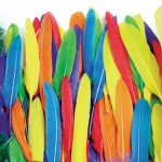 Duck Quills, Assorted Colours, 14g Bagabc