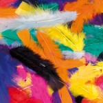 Feathers, Assorted Colours, 25g bagabc