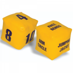 Fitness Dice, Pack of 2abc